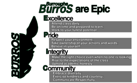 Burros are Epic